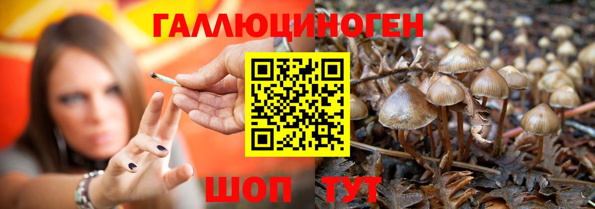 Псилоцибиновые грибы MAGIC MUSHROOMS  Псилоцибиновые грибы Cubensis  Саяногорск  Вход с VPN 